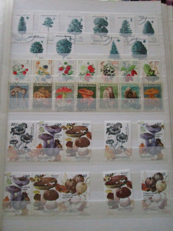 IMG 4510 — Postimages