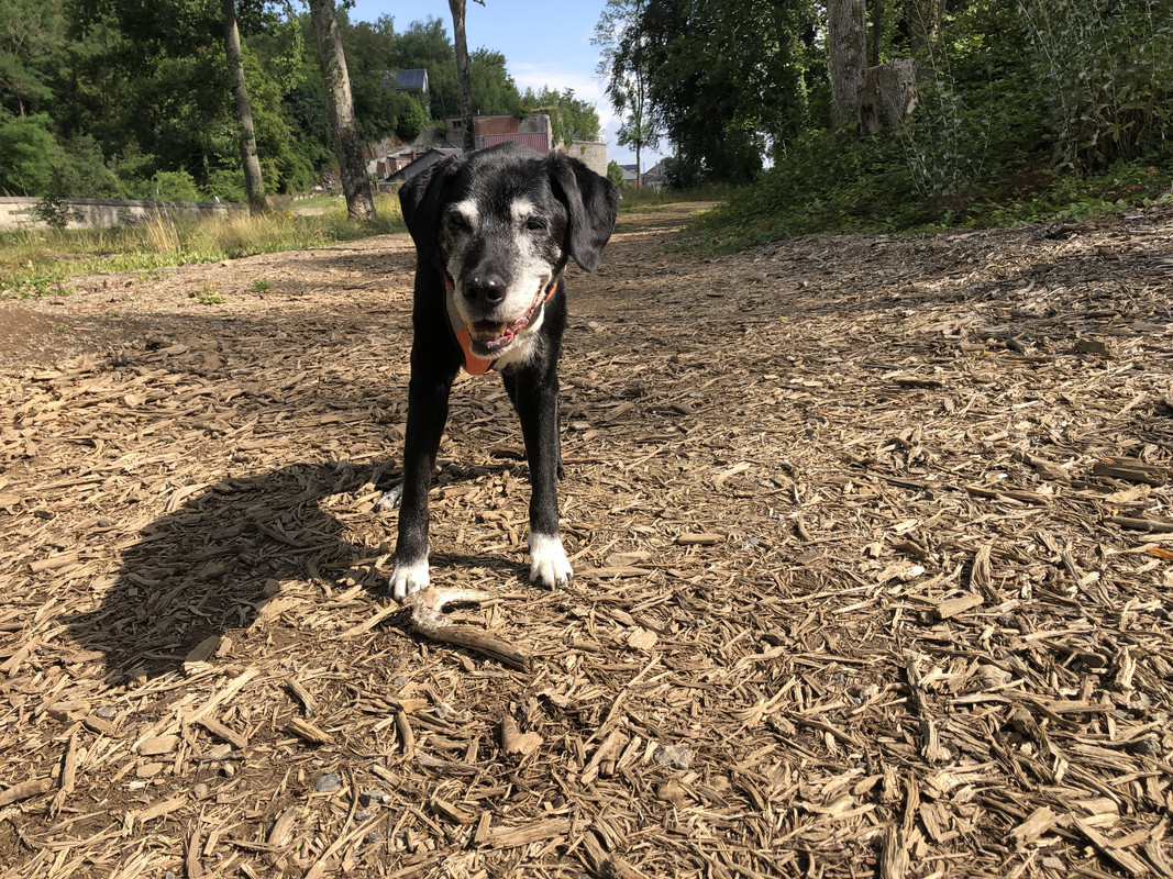 ABC900C4-FDC6-4D00-B9DF-2C2D4CBBAC36