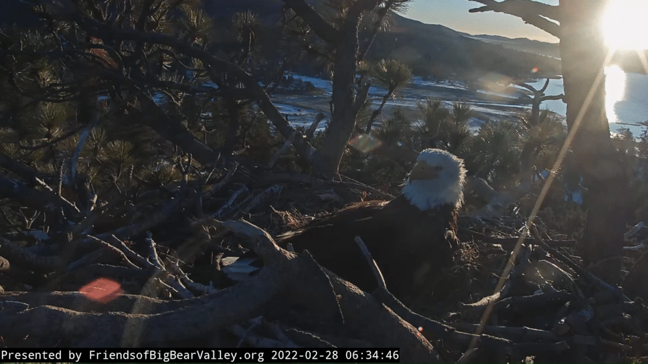 Webp.net-gifmaker (4)