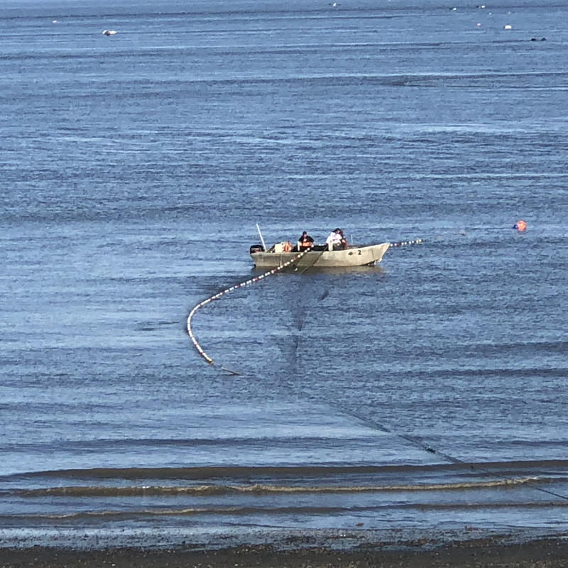 AF4648D5-28A2-4116-80A7-2C1E4EE468DD