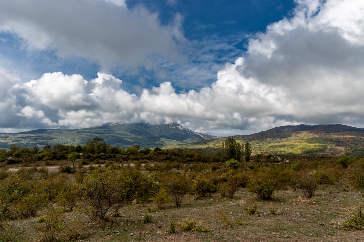 IMG_8337 (2)