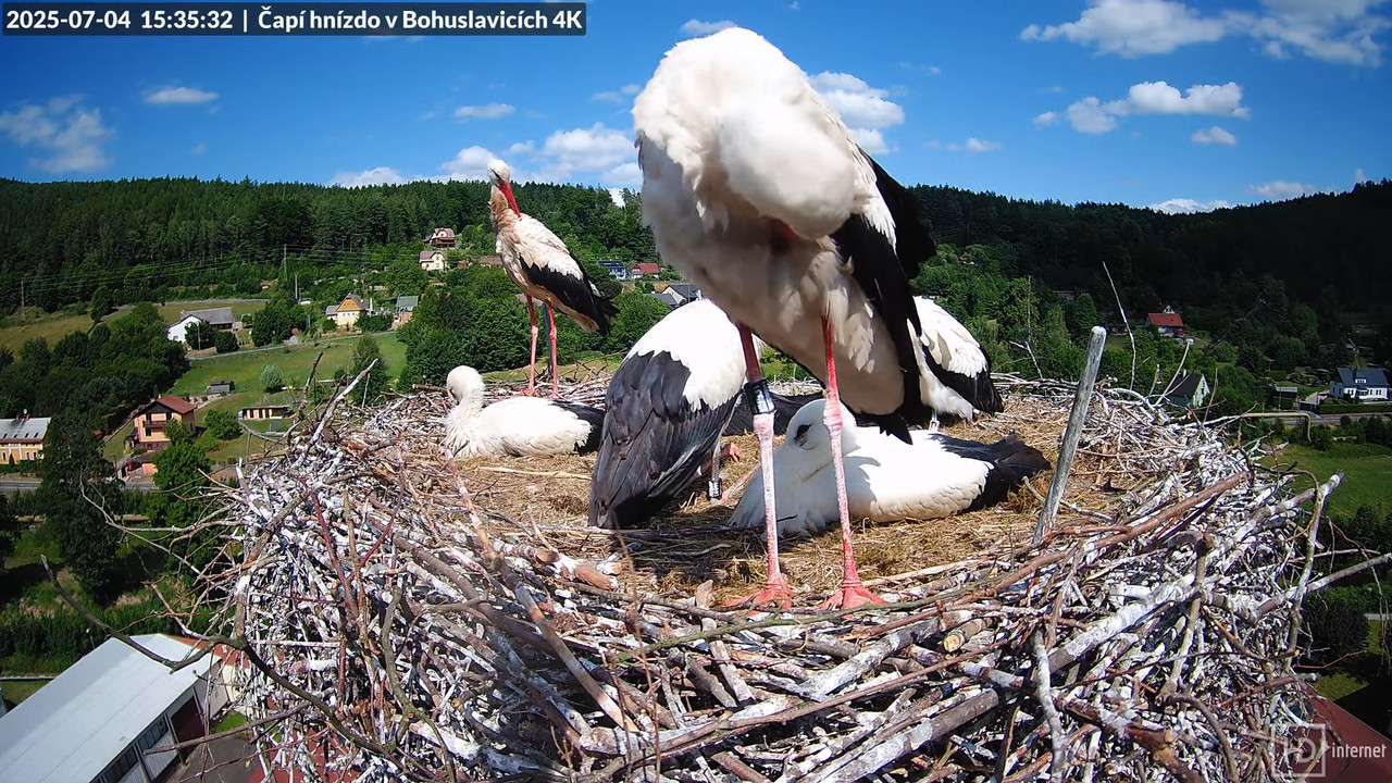 Živě z čapího komína firmy KARA v Bohuslavicích u Trutnova 15-12-57 screenshot