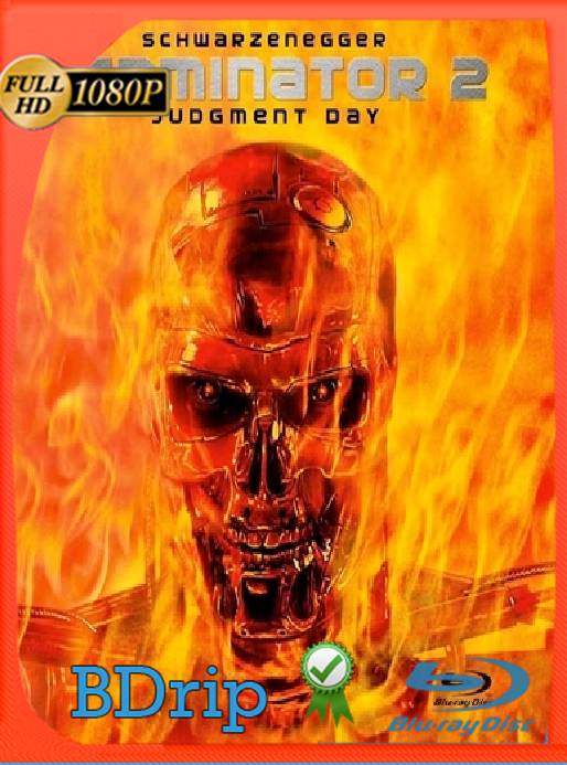 Terminator 2: Judgment Day (1991) BDRip [1080p] [Latino] [GoogleDrive] [RangerRojo]