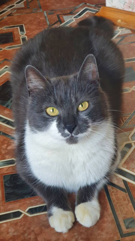 2D290B73-AC83-42DE-837B-B462A03D312C