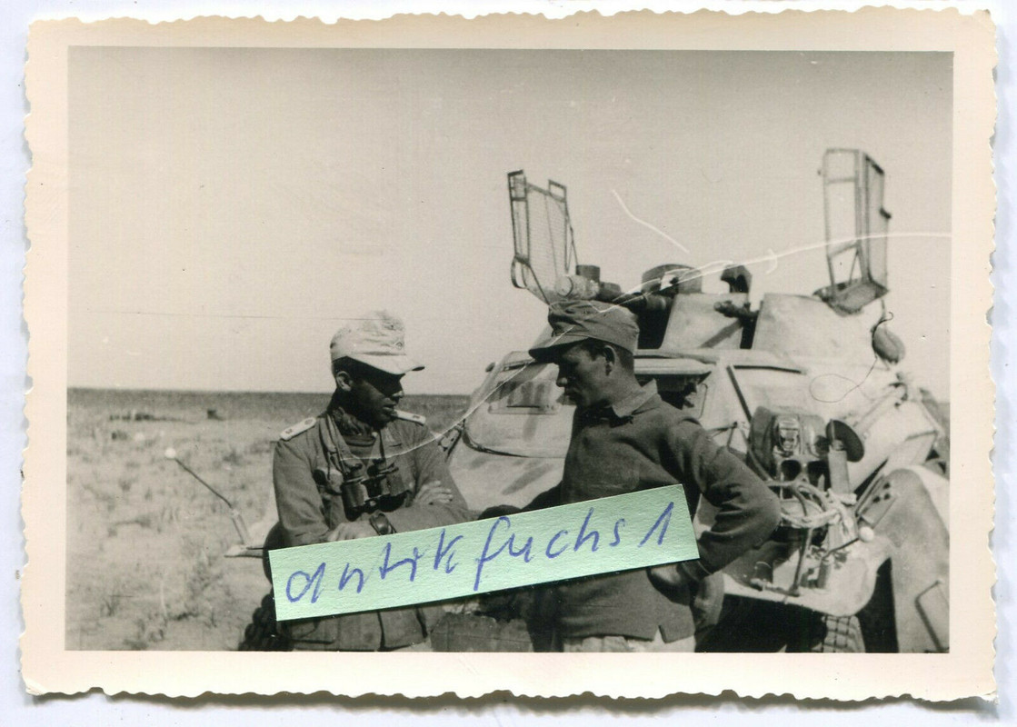 WH-Schützen-Panzer  SPW des Afrikakorps mit Kommandeur in Afrika im 2.WK