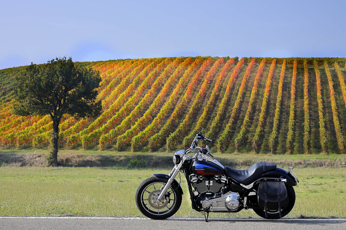 Giro Montesegale (PV)_5