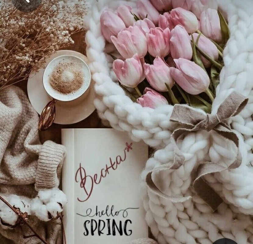 Screenshot_20230315_230726_Pinterest