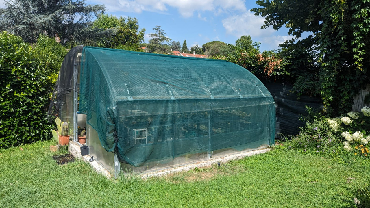 WhatsApp Image 2023-07-22 at 11.04.51 AM (1)