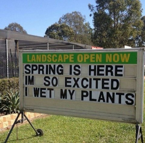 Wet-Plants