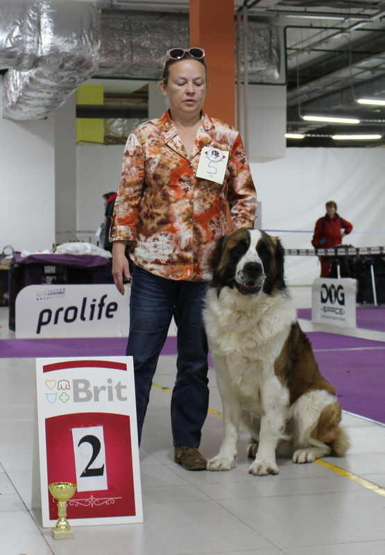 20.09.20 ЧайнаТаун