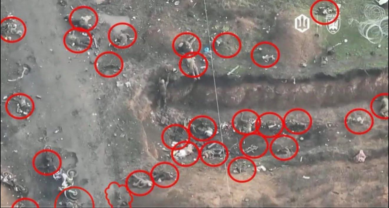 FB IMG 1764706841738