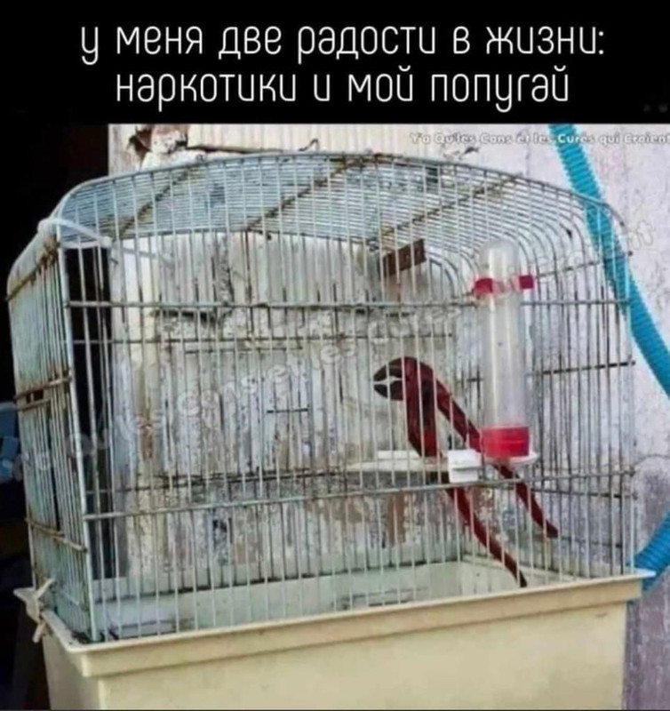 y8x5lIclWwxlG-6-yzeHOUIZ7XVUwMyYEyT2-V3OeZ9sxJiScVGDExguYrXuDoeVMfian9hh6sJ3KnjqmFJsjee2