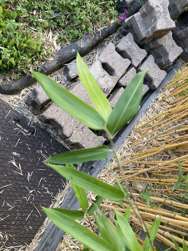 1C7E550E-8157-49F9-A02C-652A607393BD