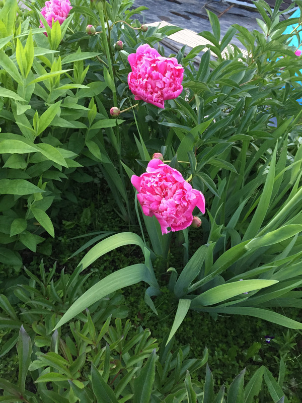 F129748F-BACA-4DE6-9F88-BB84B69A4884