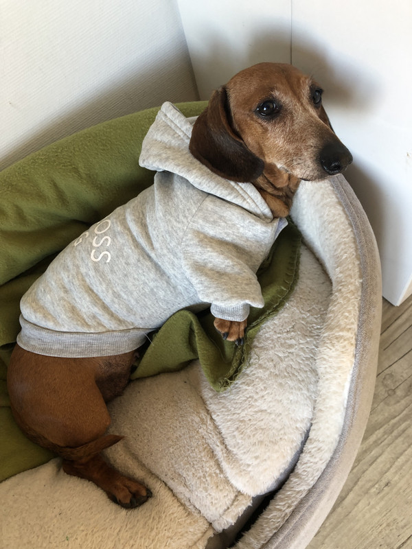 [Image: IMG-2973.jpg]