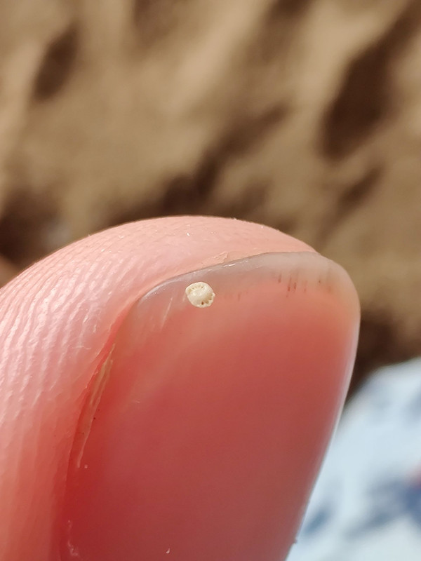 557D94DF-A836-4B91-B982-B43910871A19