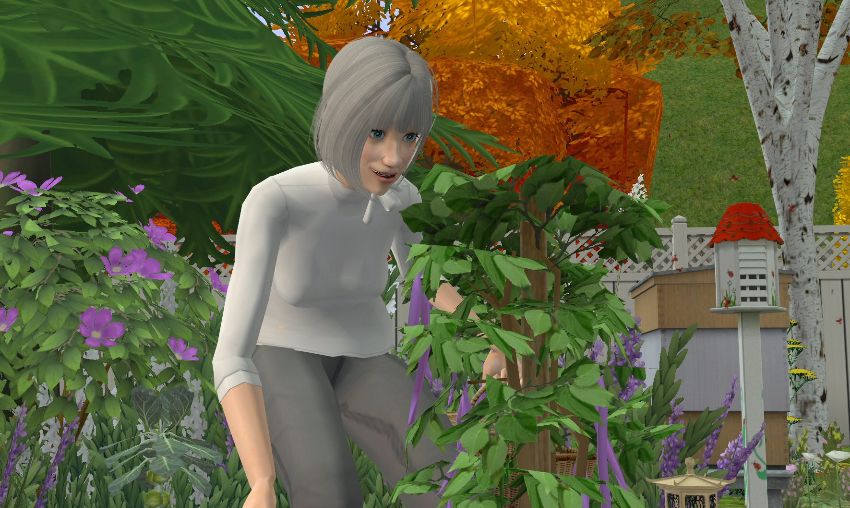 Sims2-EP9-2020-11-15-16-29-50-99