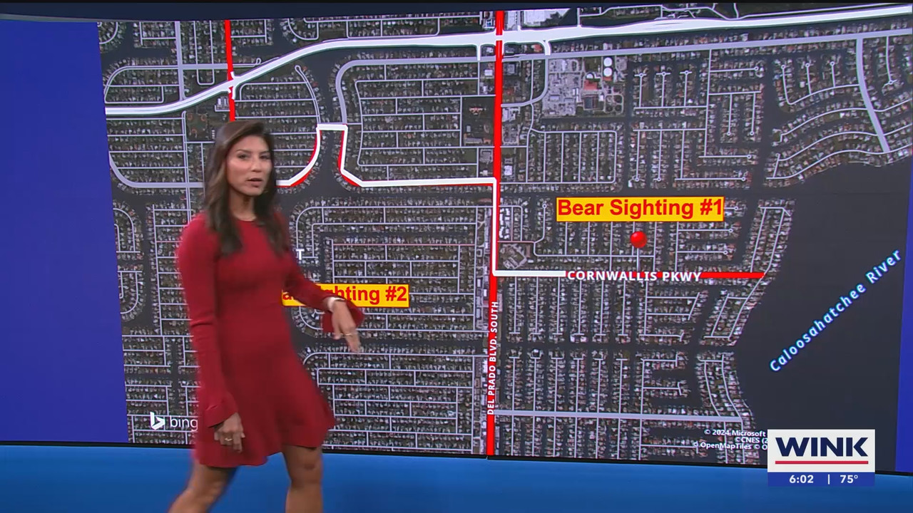 06.24 - 11.00.00 - WINK News at 6 00am  ᴺᵉʷ. Morning news coverage..ts_snapshot_03.29.952