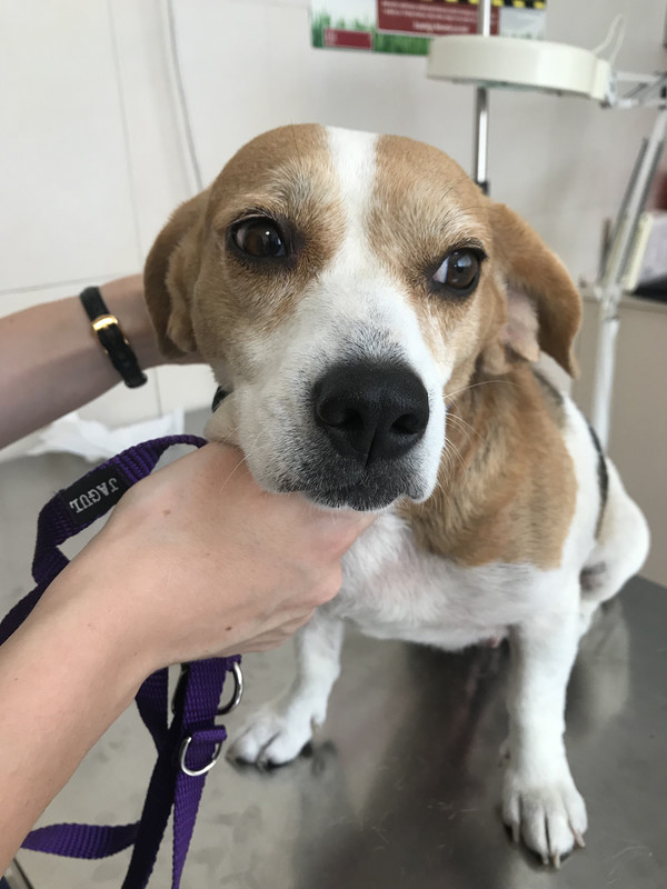 0DB13EF7-94C4-4FA6-92BF-1AFFB42FF377