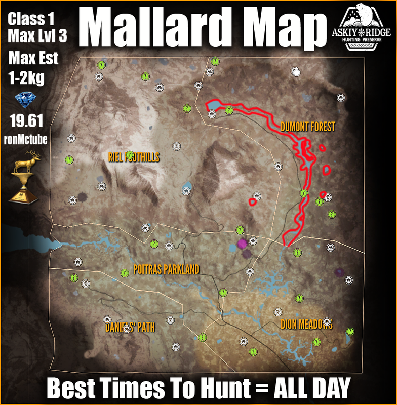 mallard-map-askiy-ridge