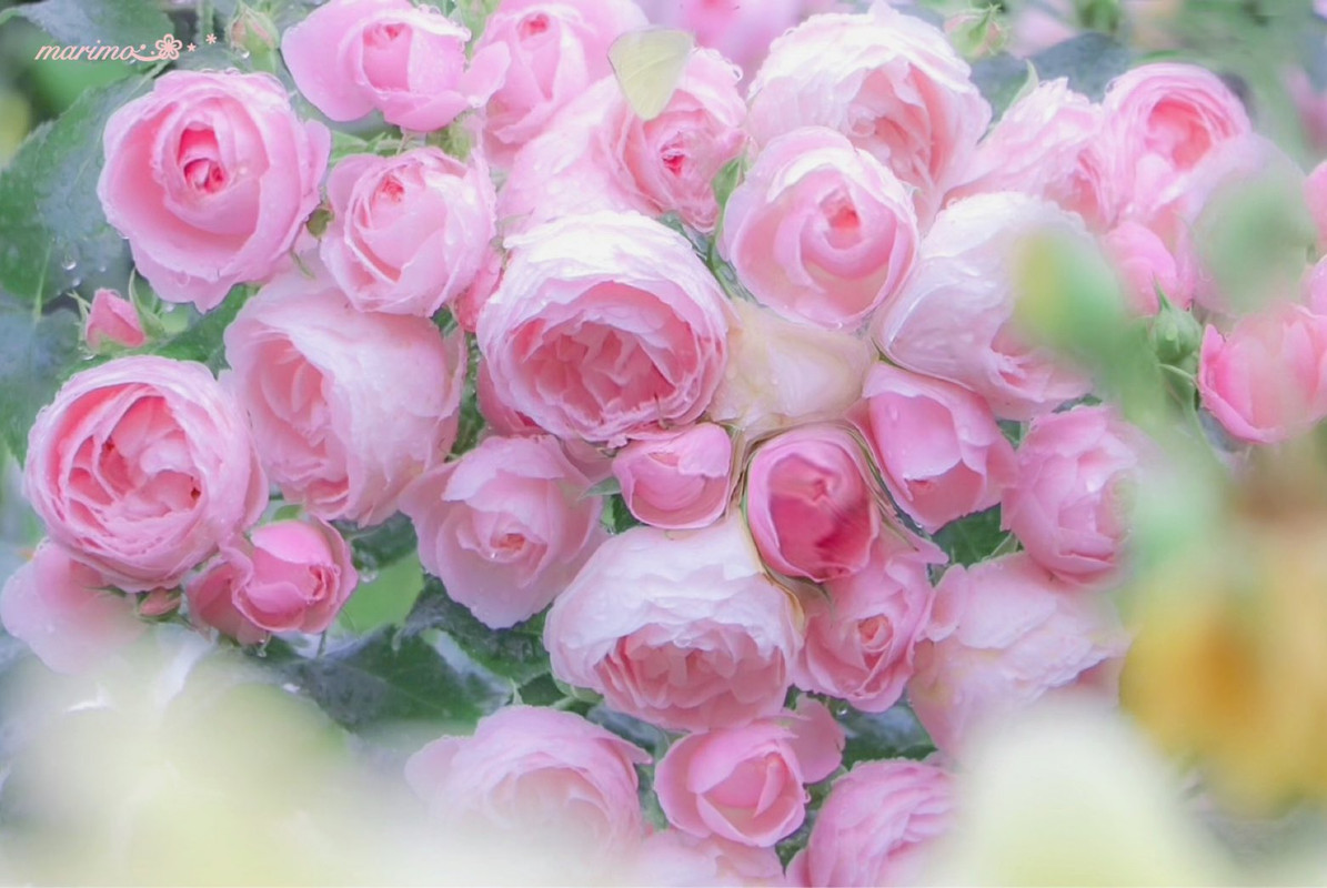 ٢٠٢١٠٦٠٨_٠٦٤٩٥٤