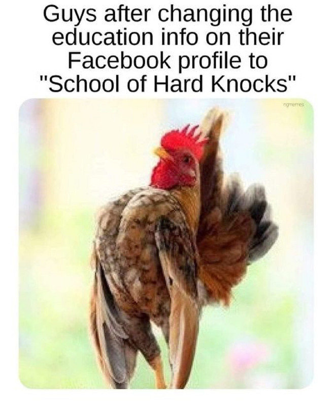 87482798.jpg
