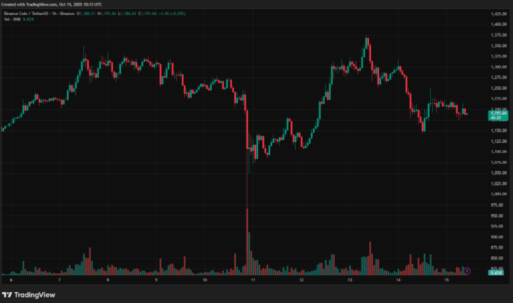 card image BNB против рынка: как токен справился с масштабным падением