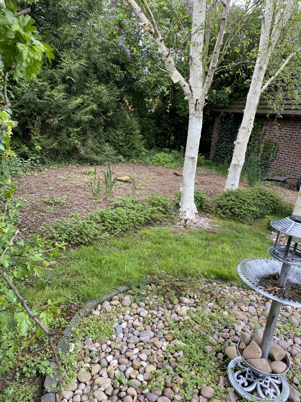 E0A95485-A504-4561-B1C7-9768D51A9544