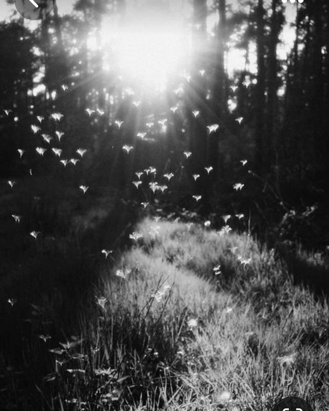 Screenshot_20230804_234118_Pinterest