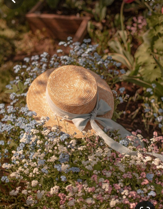 Screenshot_20240204_175641_Pinterest