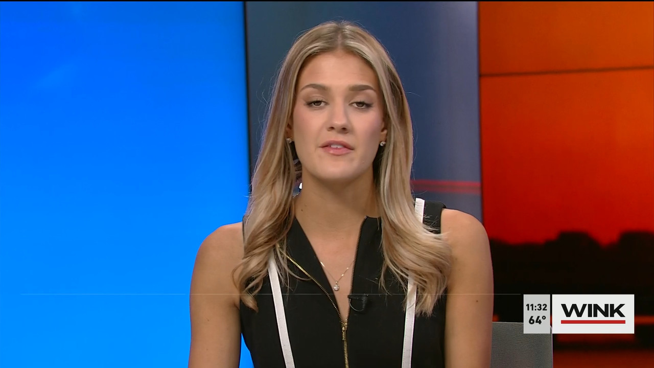 03.19 - 15.30.00 - WINK NEWS at 11 30am  ᴺᵉʷ. Midday news..ts_snapshot_08.50.045