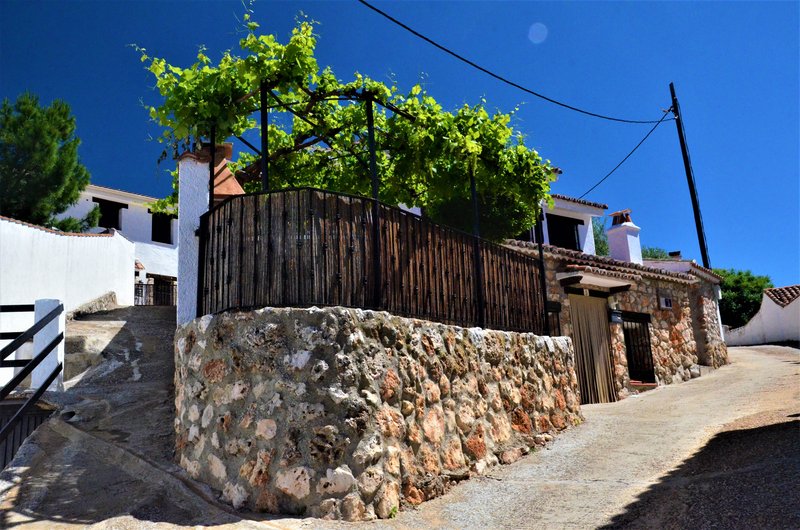 Madrid y sus pueblos-2000/2022 - Blogs of Spain - OLMEDA DE LAS FUENTES-5-6-2020 (19)