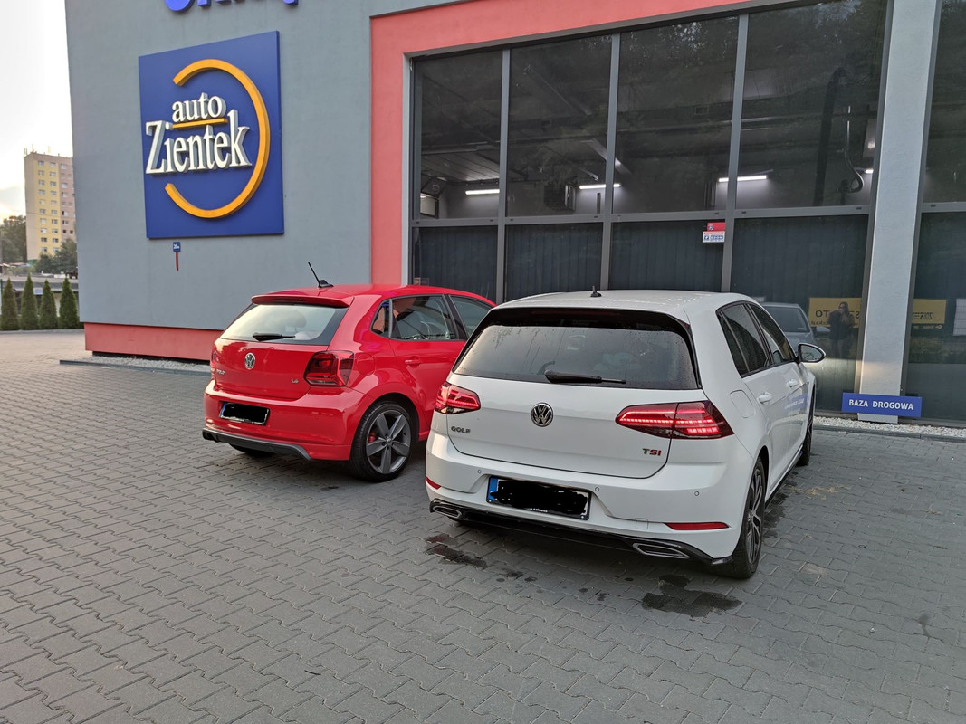 117781726_298356331444960_2736894909384144681_n