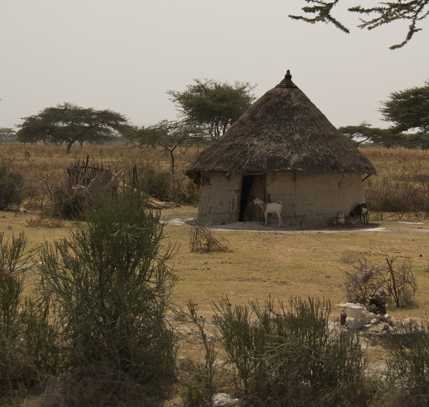 The_Hut_(5065803296)