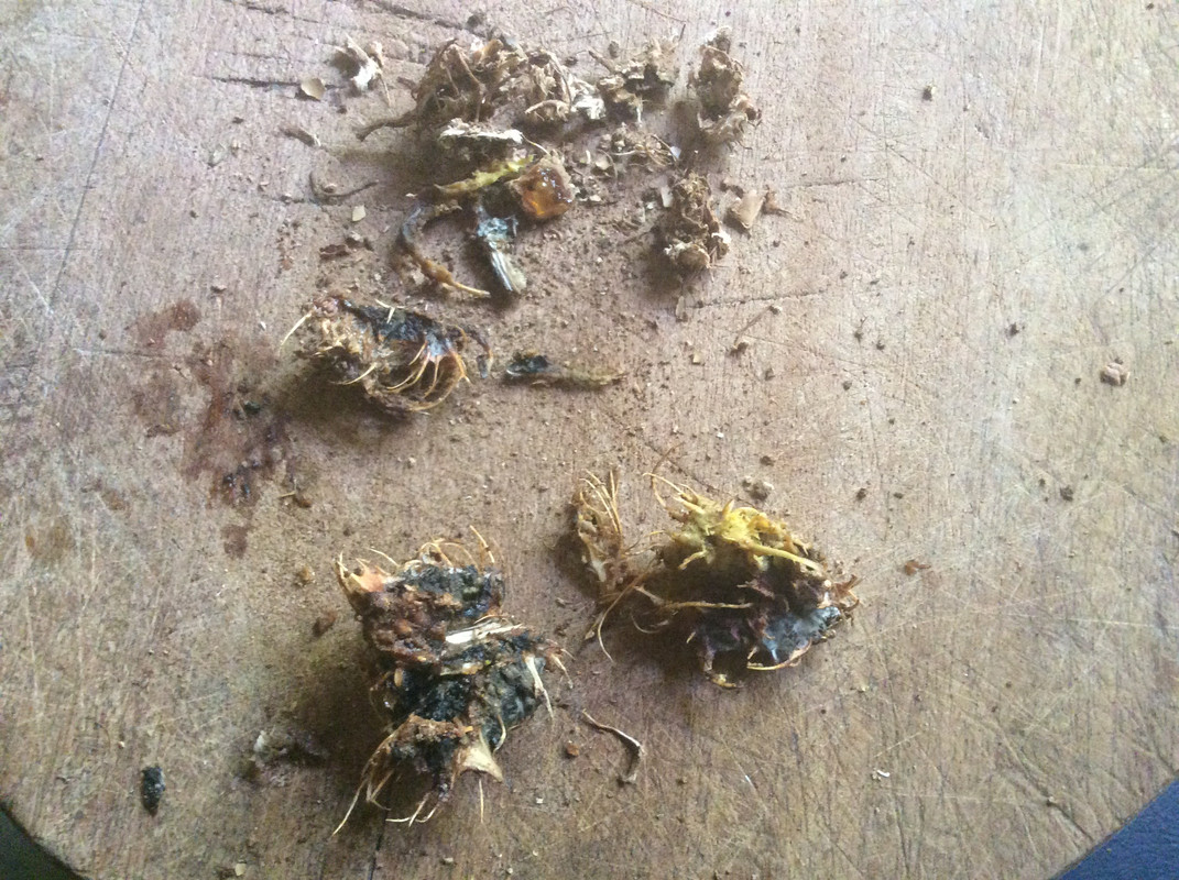 322E4669-D746-4D21-869F-29DAE2455261