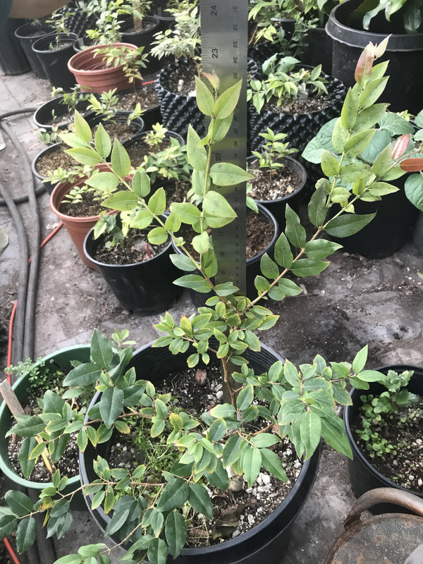 E30B0F32-E965-4760-AA64-F2EF36662453