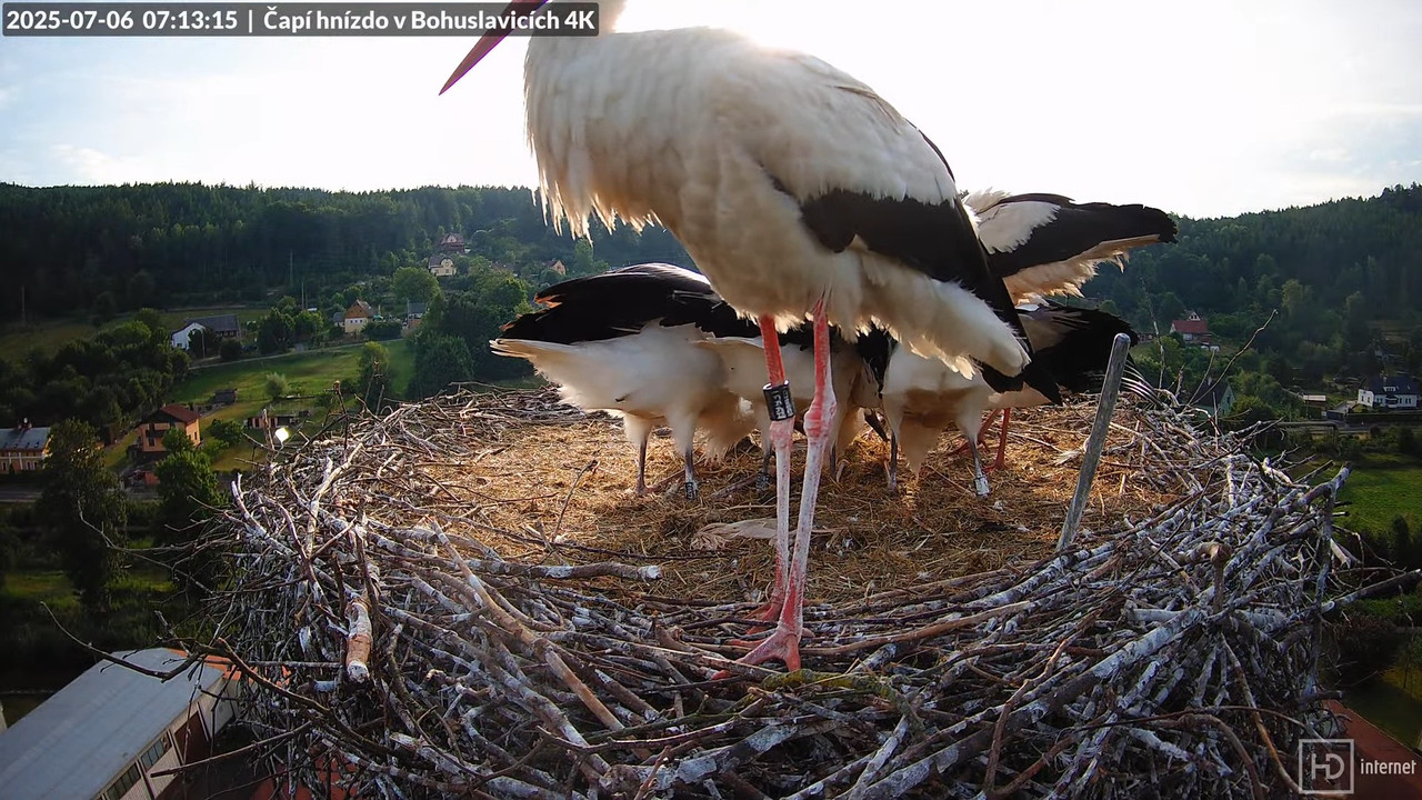 Tiešraide no KARA uzņēmuma stārķu skursteņa Bohuslavicē netālu no Trutnovas 9-9-39 screenshot