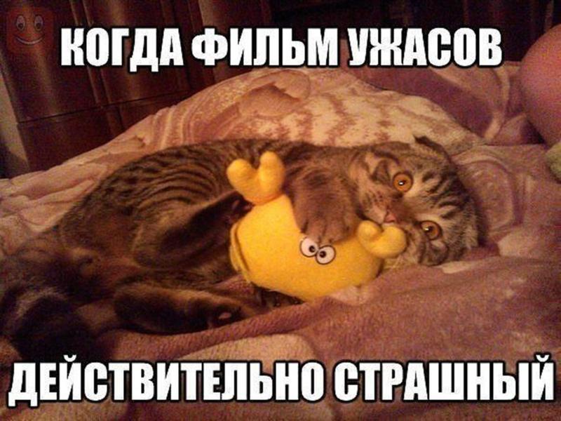 217738521-bcd1749dfe0f0cddaddcb42b8277cd