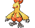 combusken.gif