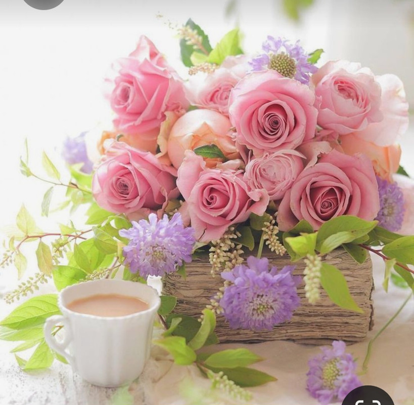 Screenshot_20230409_211322_Pinterest