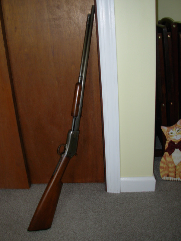 Winchester 1906 .22LR     1