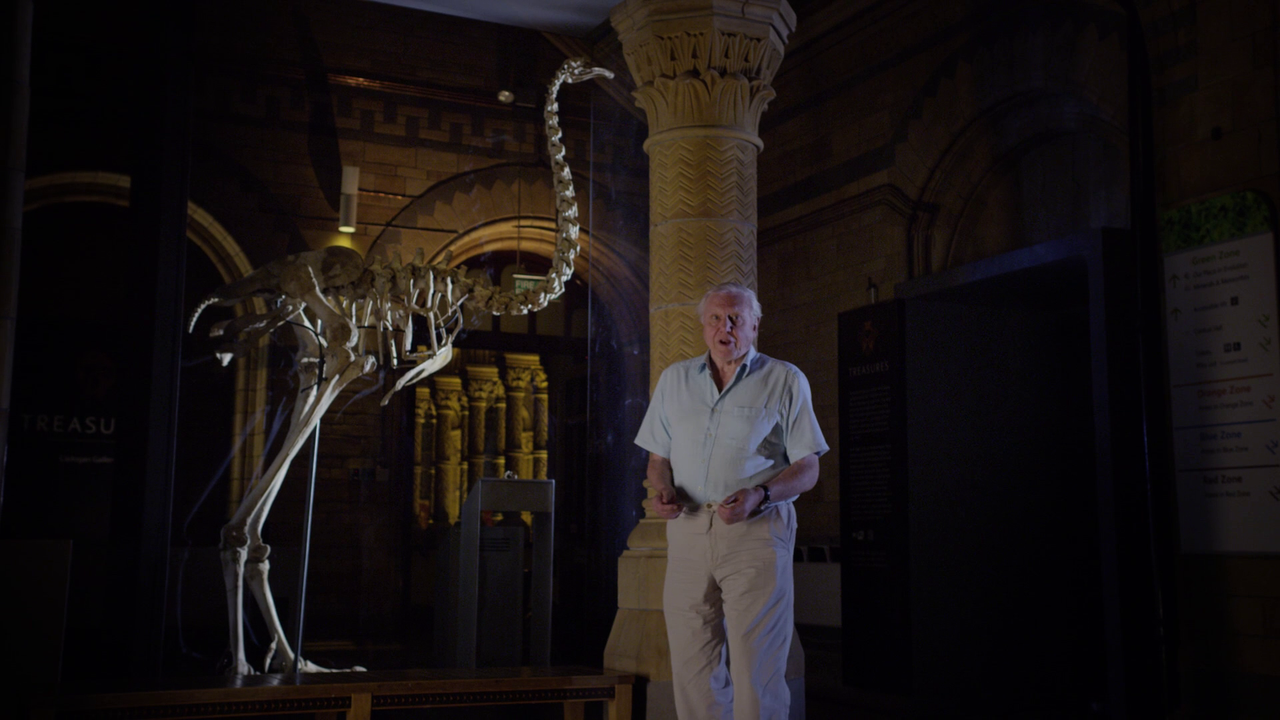 vlcsnap-2024-08-12-20h22m50s290