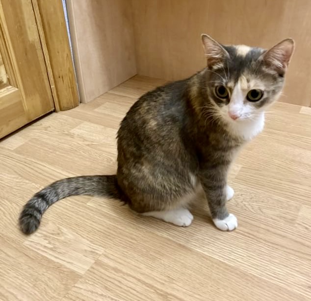 5D86D234-BAAC-4ECF-BD61-30C2A4496AB3