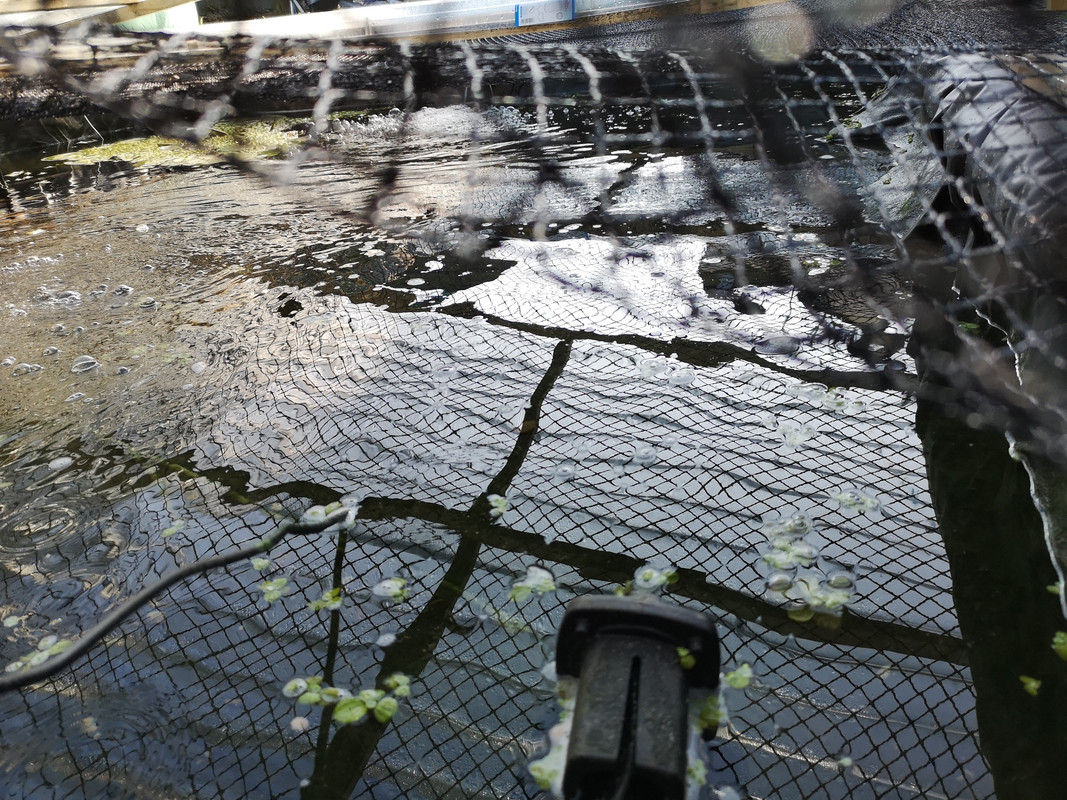 15424589799042792190433770238148