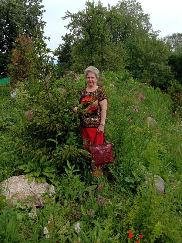 Альпийская горка