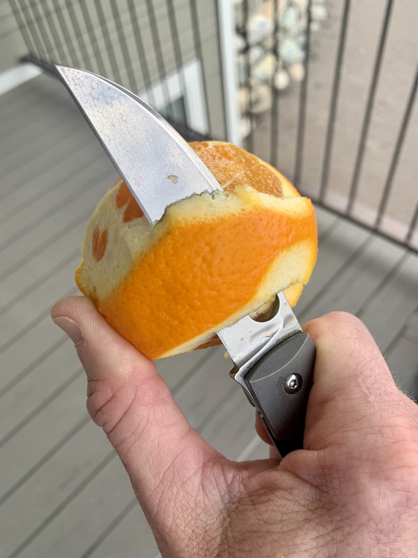 7542546A-3BA9-4577-816E-B961CB10F982