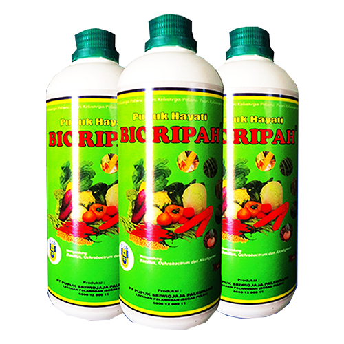 Bioripah
