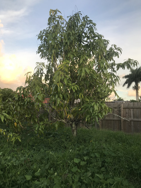 0C10F426-AB44-4001-A812-6607A71241D6