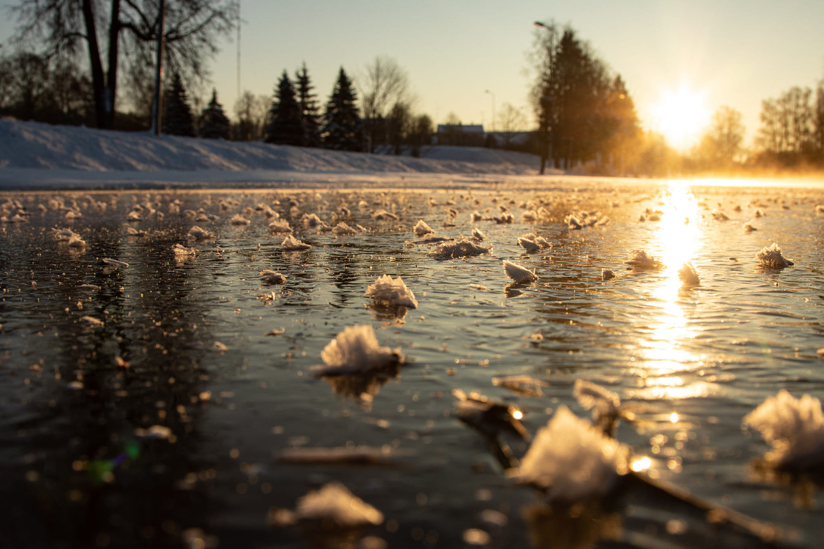 323776148_1512602325901756_4592886221933928213_n