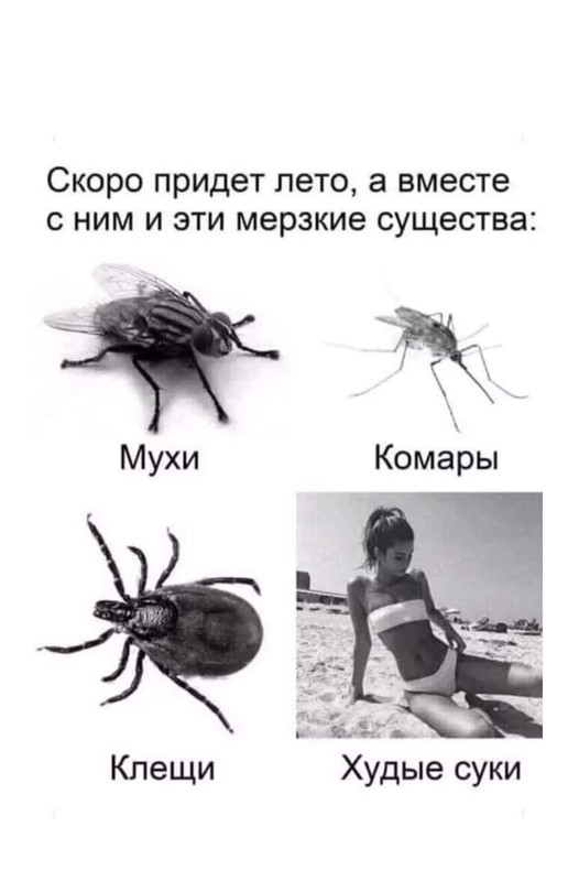 273020723_1027325384516836_7964039713034403012_n